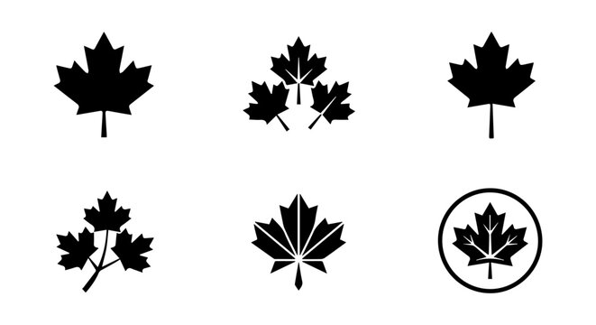 Canadian Maple Leaf Icons, Vector Set: Simple Black Silhouettes for National Symbols and Autumn Themes