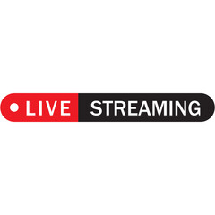 Fototapeta premium Live streaming, broadcasting, online stream