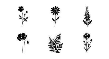 Set of Six Delicate Wildflower and Botanical Illustrations, Simple Black and White Vector Icons © al