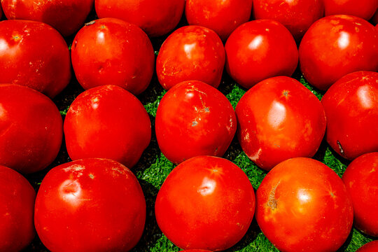 Pile of large fresh ripe red tomatoes displayed at outdoor harvest festival market