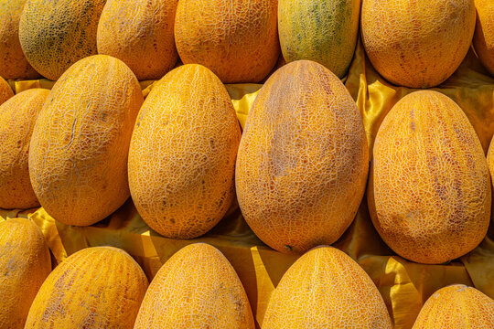collection of fresh ripe yellow melons