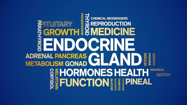 Endocrine Gland animated word cloud-animation tag kinetic typography seamless loop.