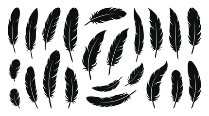Black feather icons, feather silhouettes, vector feathers, 20 black feathers Vector © Mst
