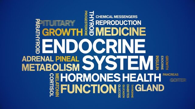 Endocrine System animated word cloud-animation tag kinetic typography seamless loop.