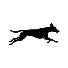 Fototapeta premium Running dog silhouette isolated on white background