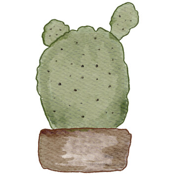 watercolor Cactus, Cactus transparent background