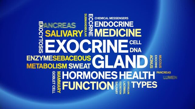 Exocrine Gland animated word cloud-animation tag kinetic typography seamless loop.