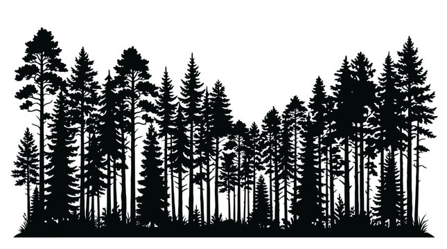 Black pine tree forest silhouette, vector trees landscape, dark nature scenery, forest backdrop vector
