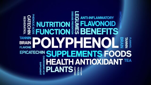 Polyphenol animated word cloud-animation tag kinetic typography seamless loop.