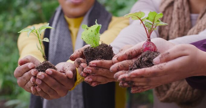 Diverse women friends showing three seedlings with muddy hands steadying roots in garden, smiling