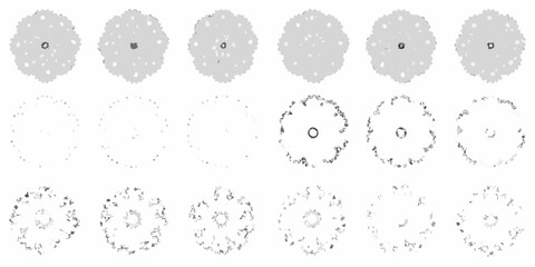 collection of twelve top down tree plan views in silhouette style on white background view nature landscape architecture design pattern © Apurba