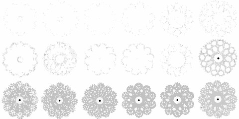 tree canopy patterns vector illustration on white background pattern top down view nature forest ecology environment botanical organic design graphic © Apurba
