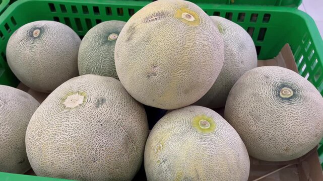 Close up of fresh organic cantaloupe melons displayed in green crate at market