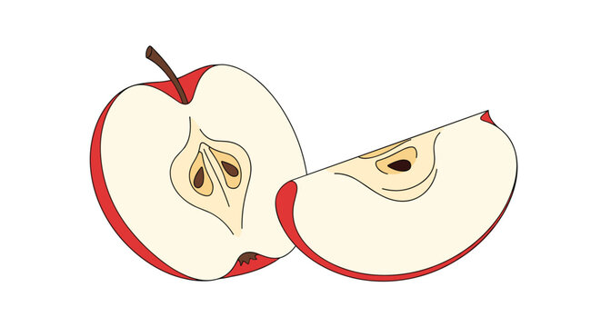 Fresh red apple cut into half piece and a juicy wedge slice isolated on clean white background.