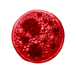 Fototapeta na wymiar Cyclosporiasis as a foodborne parasitic illness caused by Cyclospora cayetanensis as an outbreak with contaminated food or water resulting in explosive diarrhea and digestive illness.