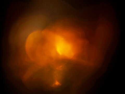 Soft, glowing orange light against dark background. Abstract bokeh effect with warm tones. Suitable for atmospheric or mystical compositions. No animals or plants visible. Light leak for design.