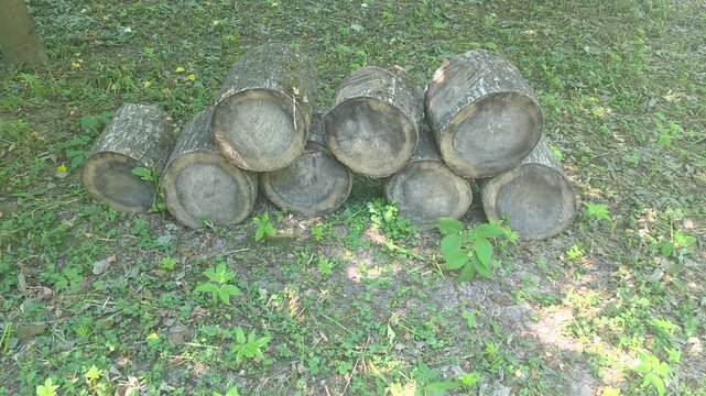 Stacked logs resting on the ground in a wooded area during a sunny day