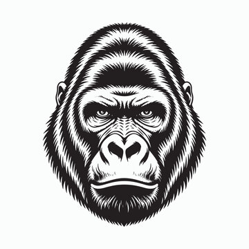 Gorilla Face Vector Illustration