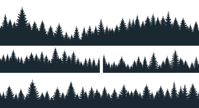Detailed continuous horizontal silhouette border of evergreen pine forest trees isolated on white background.