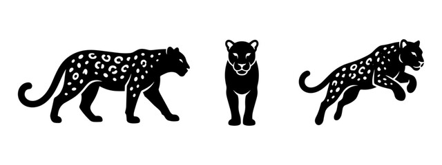 Leopard vector icon set. Wild cat in different poses, walking, standing, and jumping. © Lili