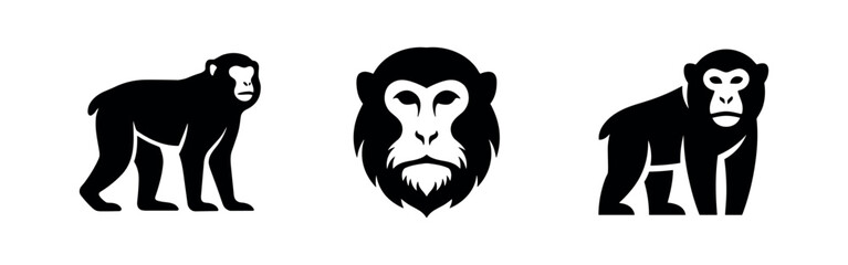 Fototapeta premium Monkey icon set. Black vector glyphs of a macaque or ape, a primate animal in different poses.