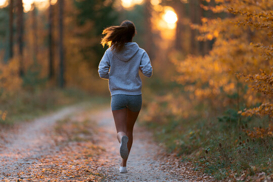 Golden light paints autumn forest path. Runner moves forward through fallen leaves. Warm sunsets glow behind trees. Person focuses on steady pace, calm effort. Ideal for fitness, wellness
