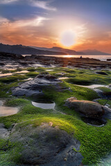 Obraz premium Golden sunset over Lastron beach in Bizkaia Spain with green mossy rocks during low tide, dramatic sky reflecting on the atlantic ocean coast