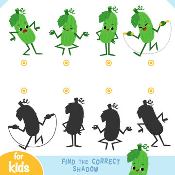 Find the correct shadow educational game for children with a set of cute cucumber. Flat vector illustration of characters and silhouette shadows. Printable fun worksheet for kids