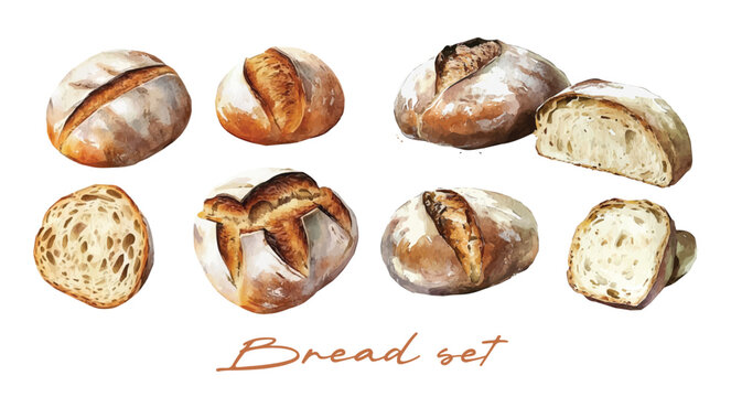 Art Minimal yet artistic elements for creative designs. hand-drawn paint isolated on a white background, Simple Illustration, A creative painting of sourdough bread set, Cute design