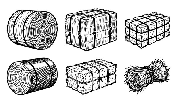 Hay Bale Collection with Agricultural Straw Bundles, Farm Harvest Storage Elements, Rural Farming Equipment and Livestock Feed Vector Set