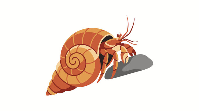Hermit crab, orange, vector illustration, crustacean, animal