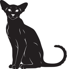 Black cat sitting on white background with large ears and tail © Mofizul
