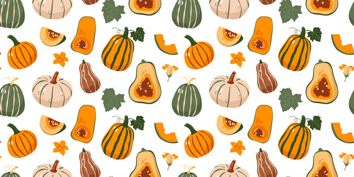 Seamless pattern with autumn pumpkins squashes and flowers on white background