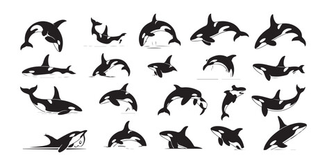 Orca Killer Whale Silhouette Collection in Various Swimming and Jumping Poses © Shohag