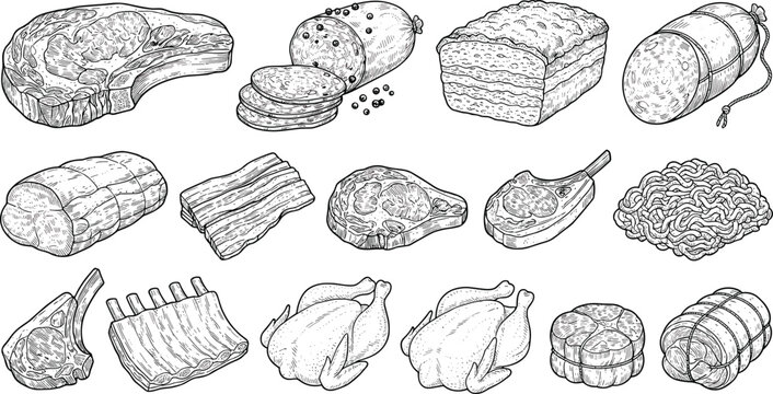Fresh raw meat butchery products set with beef steak pork chops chicken whole turkey sausage rib roast engraving sketch vector