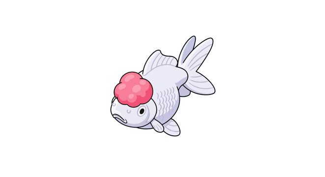 Vector illustration of a white Oranda goldfish isolated on white
