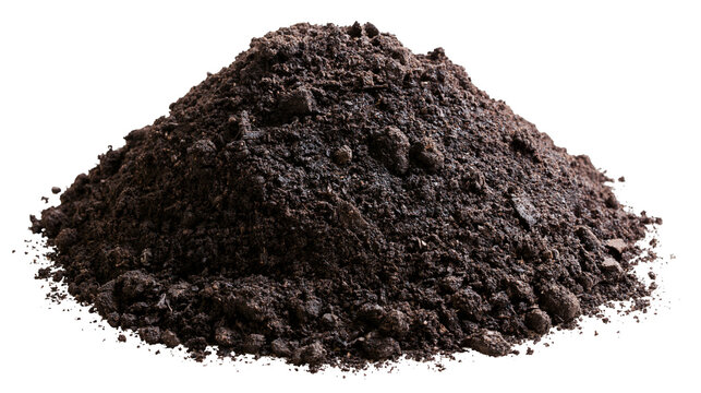 Pile of dark rich soil with visible texture