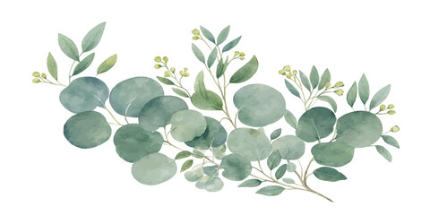 Watercolor illustration of a lush eucalyptus branch with round silver dollar leaves and small flower buds isolated on a white background, eucalyptus © Manjur