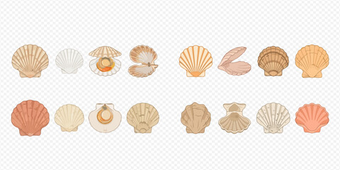 Set of various seashells and scallops with pearls, isolated on a transparent background, perfect for summer and ocean-themed designs. © Akun