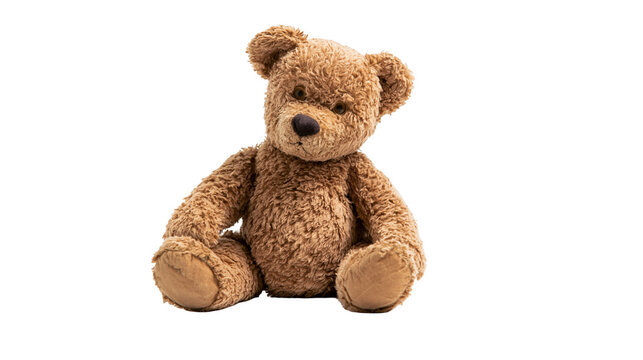 Fluffy brown teddy bear sitting