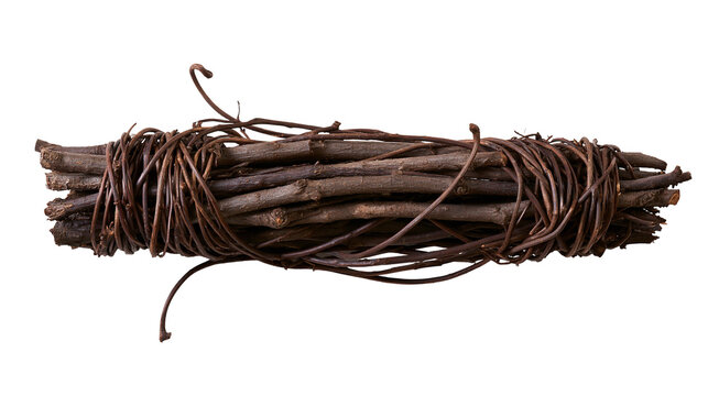 Bundle of dry twigs tied with vine