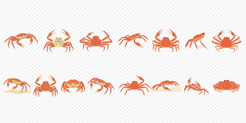 Set of various red crabs in different poses, isolated on transparent background, showcasing marine life crustaceans. © Akun