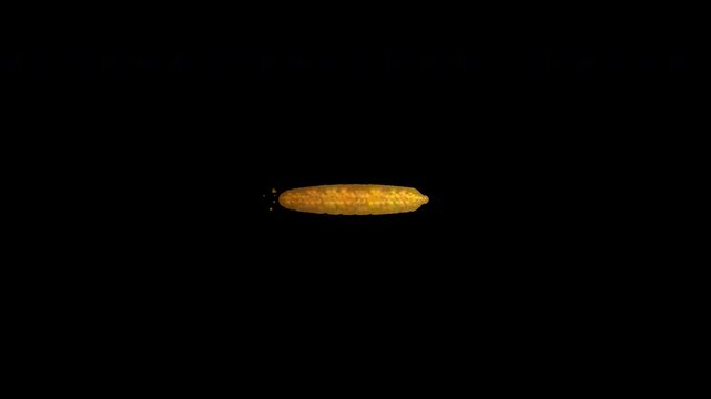 Hand Painted Amber Minus Mark Animated Video Overlay 4K