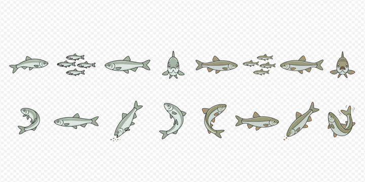 Set of fish in different poses, including swimming, jumping, and schooling, isolated on a transparent background.