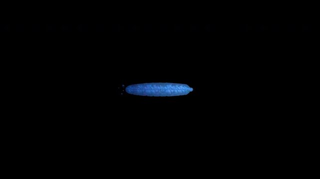 Hand Painted Blue Minus Mark Animated Video Overlay 4K