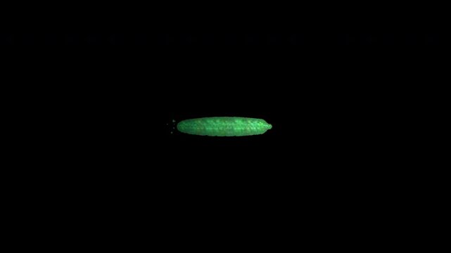 Hand Painted Green Minus Mark Animated Video Overlay 4K