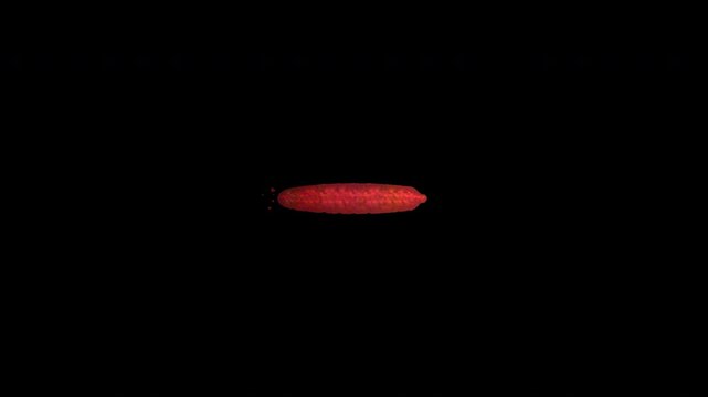 Hand Painted Red Minus Mark Animated Video Overlay 4K