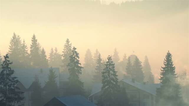 Fog drifts through a quiet hillside village of snow-covered houses and tall conifer trees in soft golden morning light