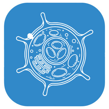 Cell biology diagram with nucleus and organelles in blue background