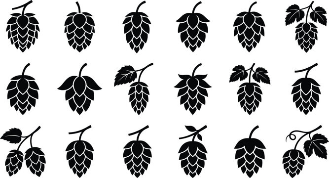 Hop Cone Botanical Silhouette Collection Isolated Vector Set White Background Illustration